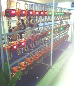 海南電子吊秤廠家直銷 精準、可靠、高效的稱重解決方案